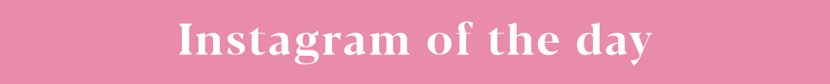 InstaOfTheDay