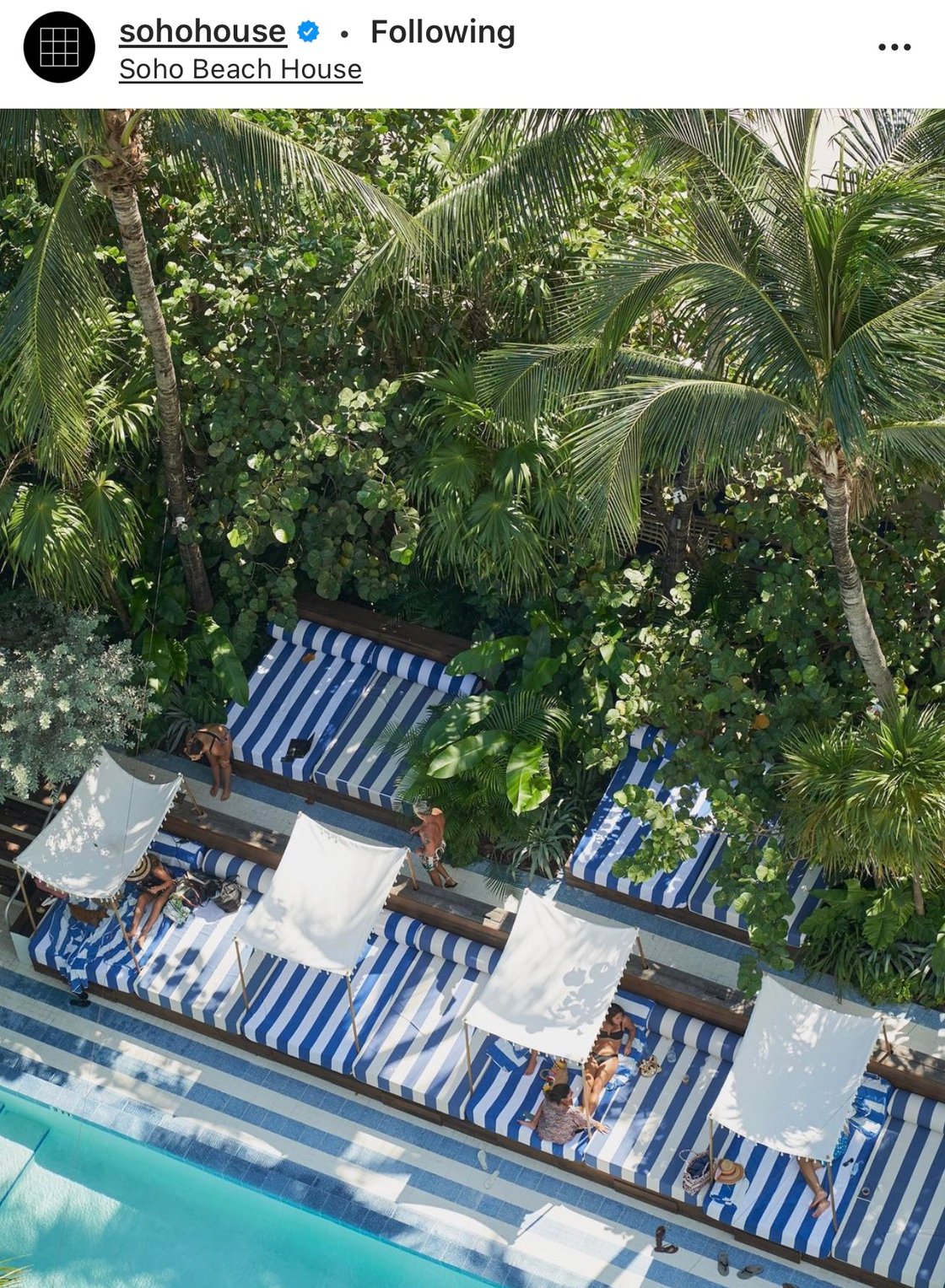 insta of the day 11.11.2020