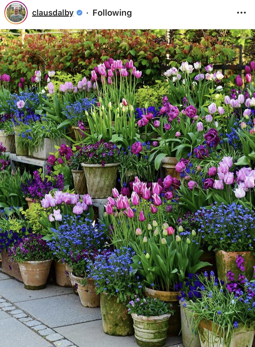 insta of the day 30.03.2020