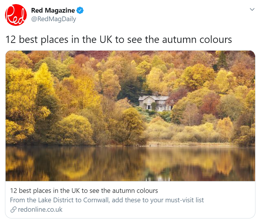 tweet of the day 06.10.2020