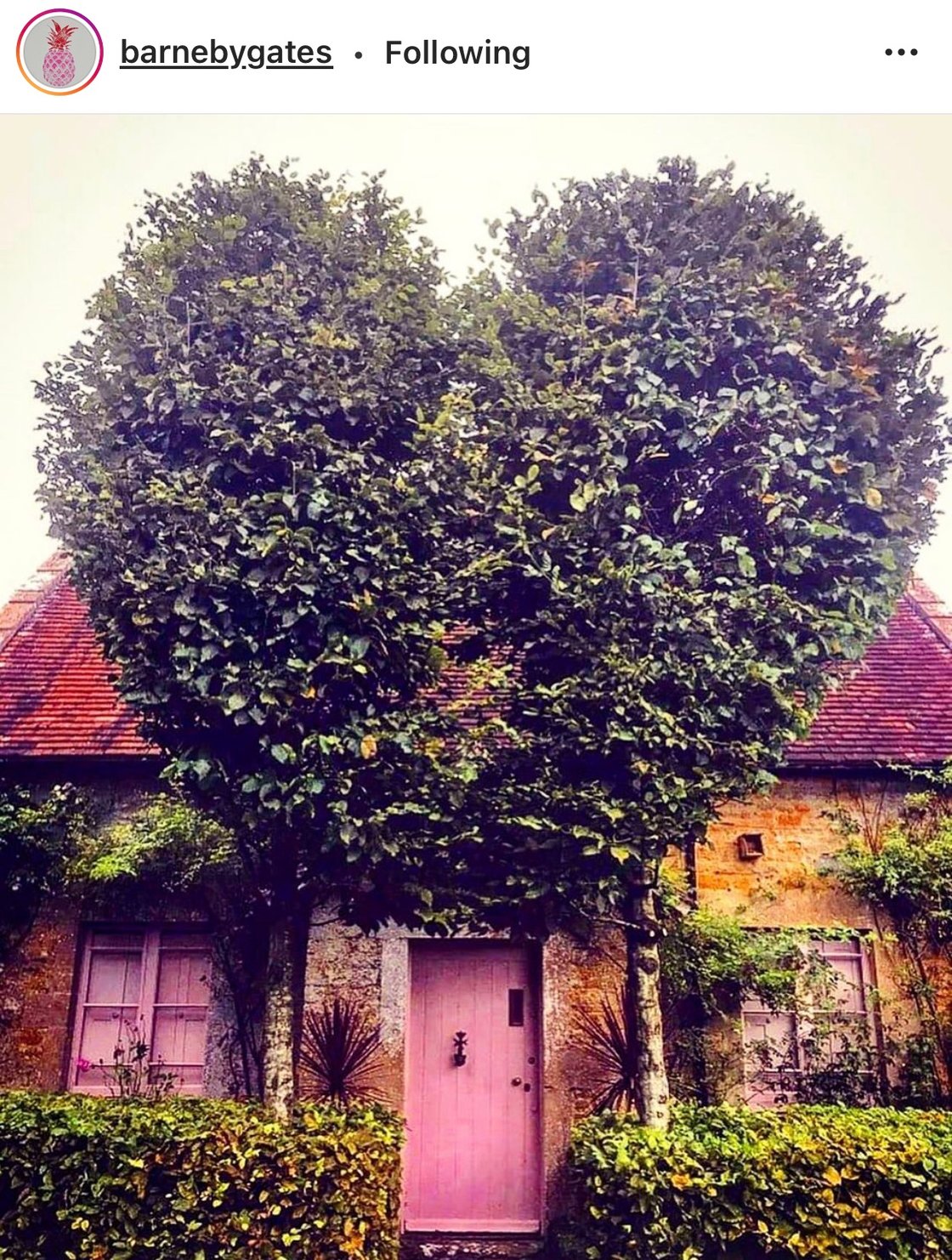 insta of the day 28.10.2020