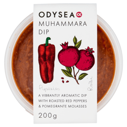 odysea 1
